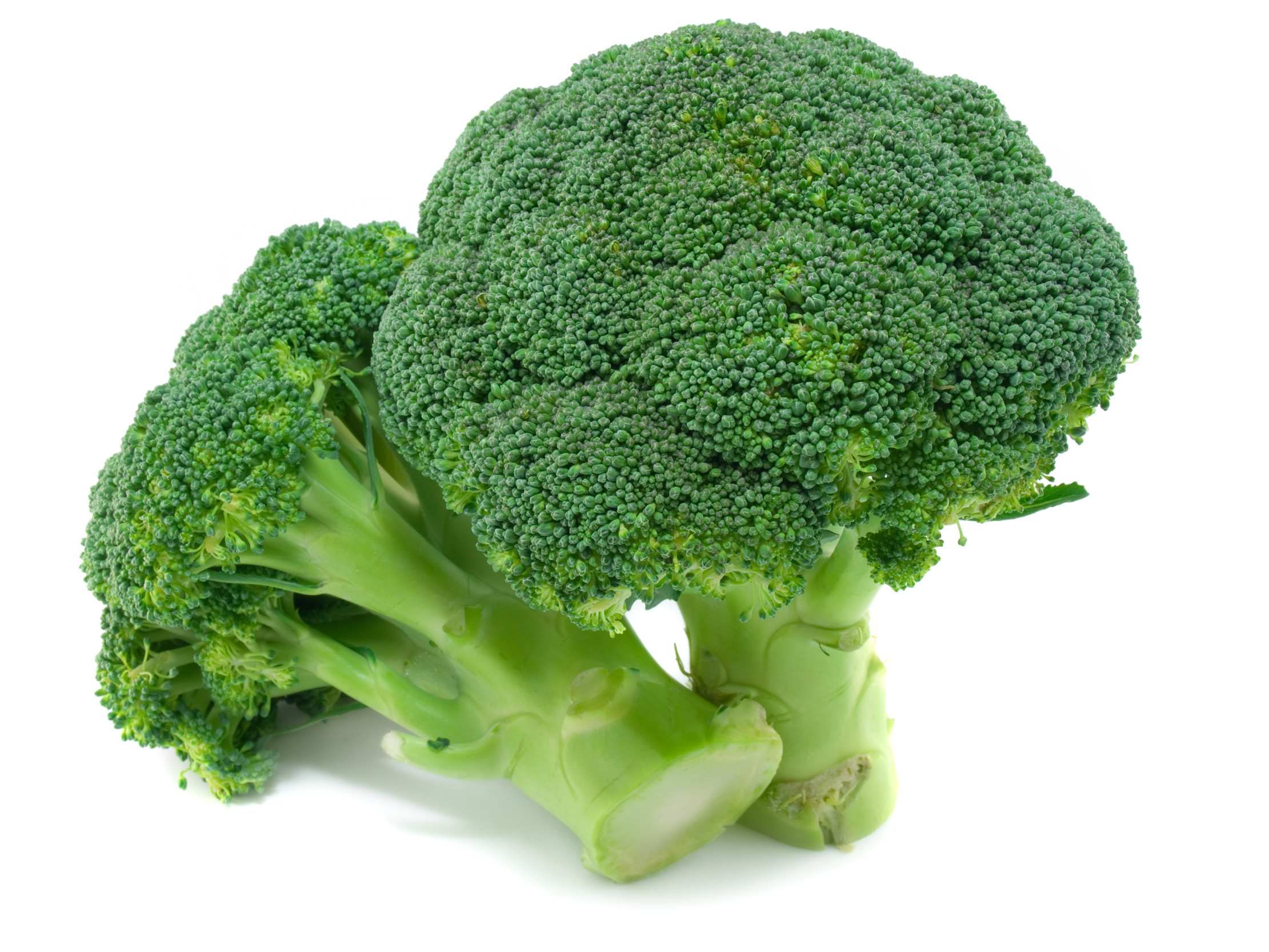 Cavolo broccolo